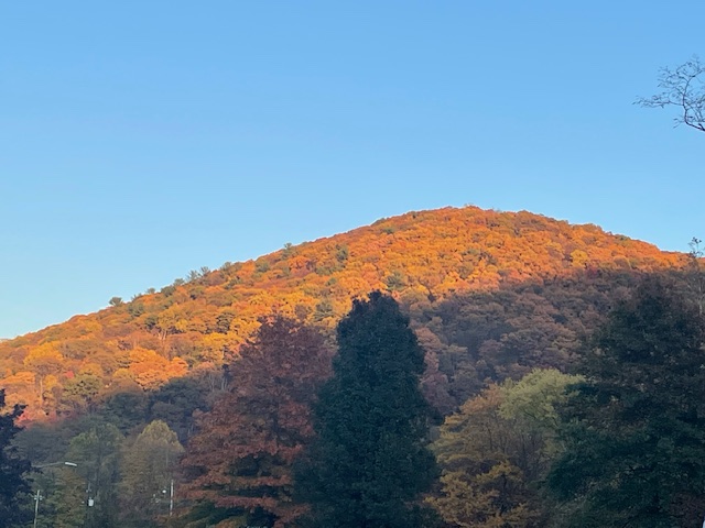 A picturesque landscape with rolling hills, a clear blue sky, and a serene lake reflecting the surroundings.