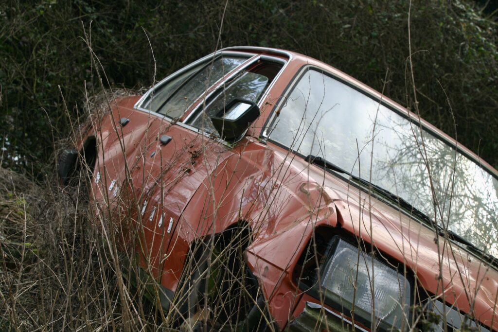 An old, rusty car is deteriorating among dense overgrown bushes.